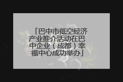 巴中市低空经济产业推介活动在巴中企业（成都）幸福中心成功举办