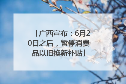 广西宣布：6月20日之后，暂停消费品以旧换新补贴