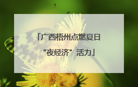 广西梧州点燃夏日“夜经济”活力
