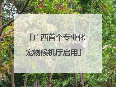 广西首个专业化宠物候机厅启用