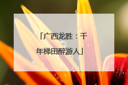 广西龙胜：千年梯田醉游人