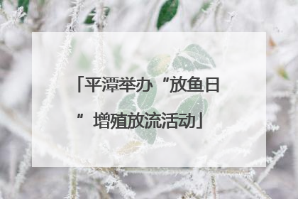平潭举办“放鱼日”增殖放流活动
