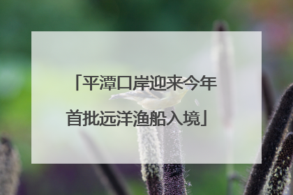 平潭口岸迎来今年首批远洋渔船入境