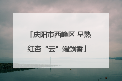 庆阳市西峰区 早熟红杏“云”端飘香