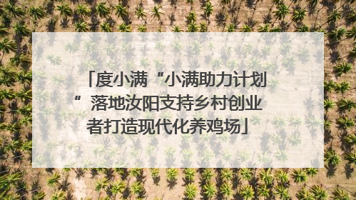 度小满“小满助力计划”落地汝阳支持乡村创业者打造现代化养鸡场