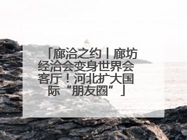 廊洽之约丨廊坊经洽会变身世界会客厅！河北扩大国际“朋友圈”