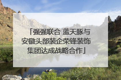 强强联合 蓝天豚与安徽头部装企荣锋装饰集团达成战略合作