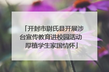 开封市尉氏县开展涉台宣传教育进校园活动 厚植学生家国情怀
