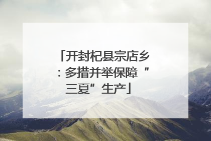 开封杞县宗店乡：多措并举保障“三夏”生产
