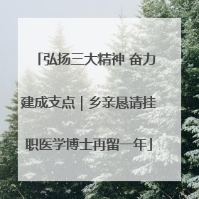 弘扬三大精神 奋力建成支点｜乡亲恳请挂职医学博士再留一年