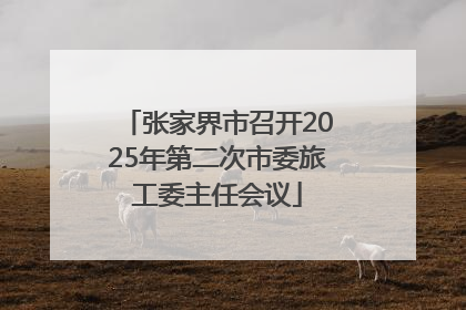 张家界市召开2025年第二次市委旅工委主任会议