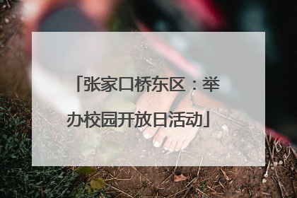 张家口桥东区：举办校园开放日活动