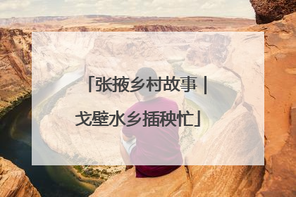张掖乡村故事｜戈壁水乡插秧忙
