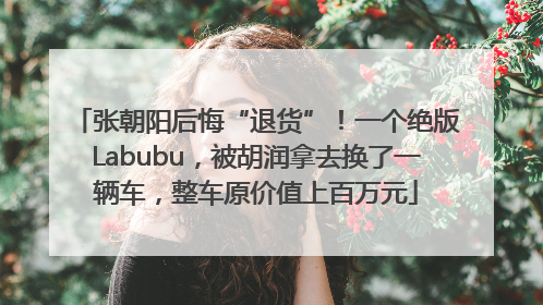 张朝阳后悔“退货”！一个绝版Labubu，被胡润拿去换了一辆车，整车原价值上百万元