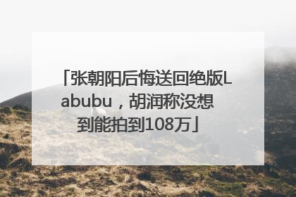 张朝阳后悔送回绝版Labubu，胡润称没想到能拍到108万