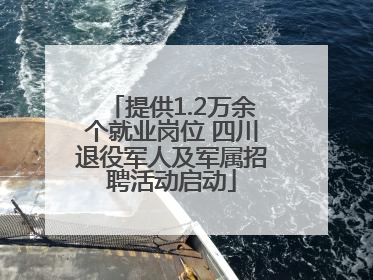 提供1.2万余个就业岗位 四川退役军人及军属招聘活动启动