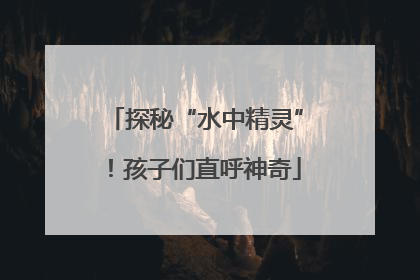 探秘“水中精灵”！孩子们直呼神奇