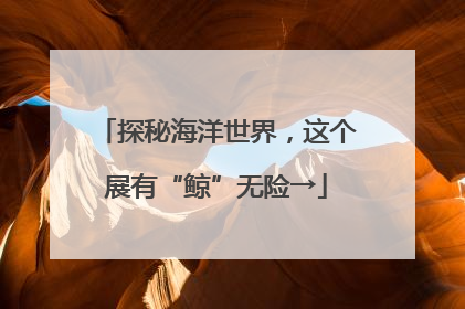 探秘海洋世界，这个展有“鲸”无险→