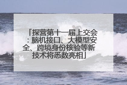探营第十一届上交会：脑机接口、大模型安全、跨境身份核验等新技术将悉数亮相