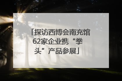 探访西博会南充馆 62家企业携“拳头”产品参展