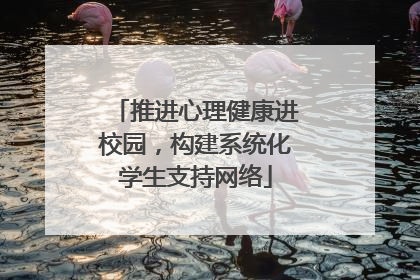 推进心理健康进校园，构建系统化学生支持网络