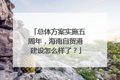 总体方案实施五周年，海南自贸港建设怎么样了？