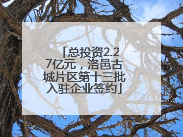 总投资2.27亿元，洛邑古城片区第十三批入驻企业签约