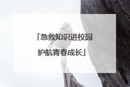急救知识进校园 护航青春成长
