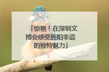 惊艳！在深圳文博会感受旌阳非遗的独特魅力