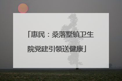 惠民：桑落墅镇卫生院党建引领送健康