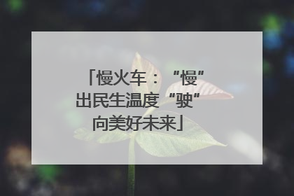慢火车：“慢”出民生温度“驶”向美好未来