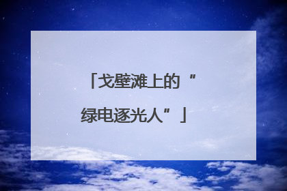 戈壁滩上的“绿电逐光人”