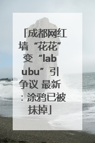 成都网红墙“花花”变“labubu”引争议 最新：涂鸦已被抹掉