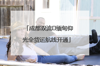 成都双流⇌缅甸仰光全货运航线开通