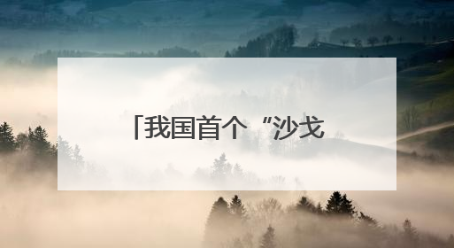 我国首个“沙戈荒”光伏“练兵场”长啥样？总台记者探访→