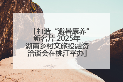 打造“避暑康养”新名片 2025年湖南乡村文旅投融资洽谈会在桃江举办