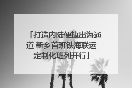 打造内陆便捷出海通道 新乡首班铁海联运定制化班列开行