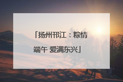 扬州邗江：粽情端午 爱满东兴
