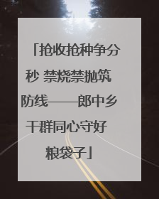 抢收抢种争分秒 禁烧禁抛筑防线——郎中乡干群同心守好 粮袋子
