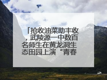 抢收油菜助丰收，武陵源一中数百名师生在黄龙洞生态田园上演“青春助农记”