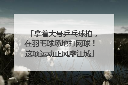 拿着大号乒乓球拍，在羽毛球场地打网球！这项运动正风靡江城
