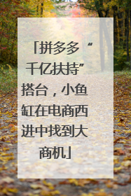 拼多多“千亿扶持”搭台，小鱼缸在电商西进中找到大商机