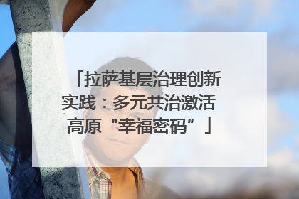 拉萨基层治理创新实践：多元共治激活高原“幸福密码”