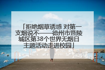 拒绝烟草诱惑 对第一支烟说不——德州市暨陵城区第38个世界无烟日主题活动走进校园