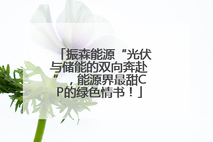 振森能源“光伏与储能的双向奔赴”，能源界最甜CP的绿色情书！