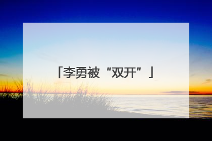 李勇被“双开”