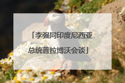 李强同印度尼西亚总统普拉博沃会谈