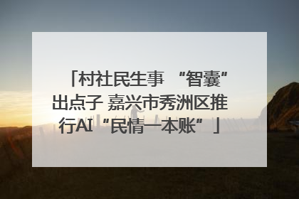 村社民生事 “智囊”出点子 嘉兴市秀洲区推行AI“民情一本账”