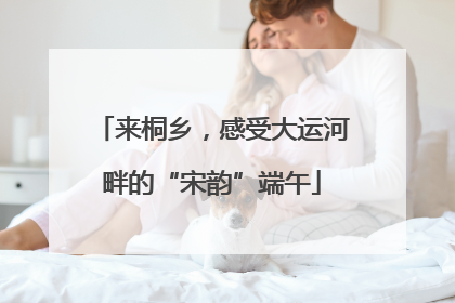 来桐乡，感受大运河畔的“宋韵”端午