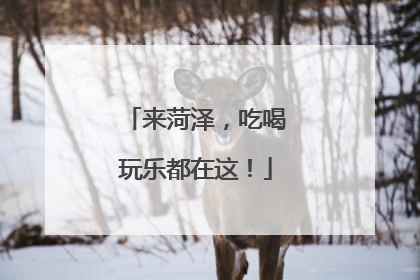 来菏泽，吃喝玩乐都在这！